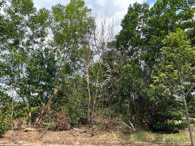 (9788 sqft) S2 Green Street Homes Residential Bungalow Land 2
