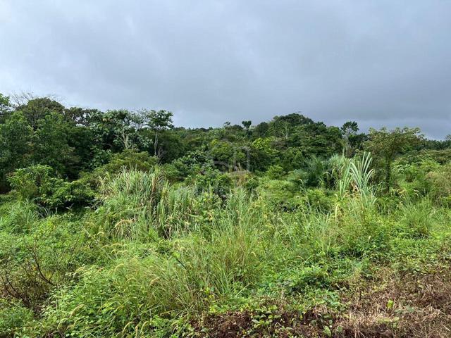 Tanah Bukit Beruntung Non Bumi 2