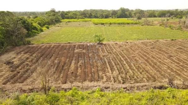 Good Investment Johan Setia Klang 2 Acre Agriculture Land for Sales 1