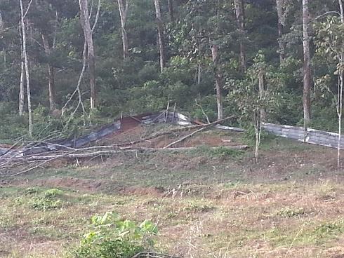 Tanah Kebun Getah / Perkampungan, Johol, Negeri Sembilan 1