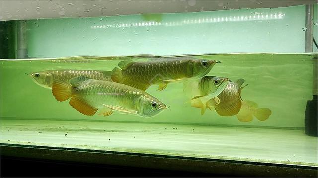 Carousel Image