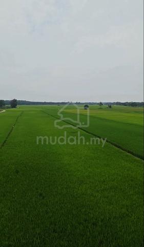 Kampung Londah Gemas 1