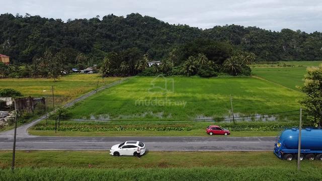 Tanah Bendang Di Wang Ulu, Bintong, Perlis 1