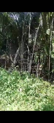 Sijangkang Batu 9, Jalan Kebun Baru, 📌2.121Acres flat Land for sale 2