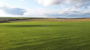 Alma Super Nice Location Residential Land For Sale ll Worth To Buy 1