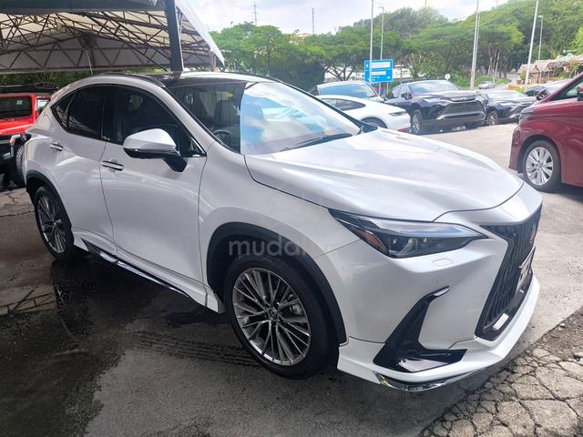 2023 Lexus NX 250 2.5 VL PANROOF BSM BODYKIT - 1