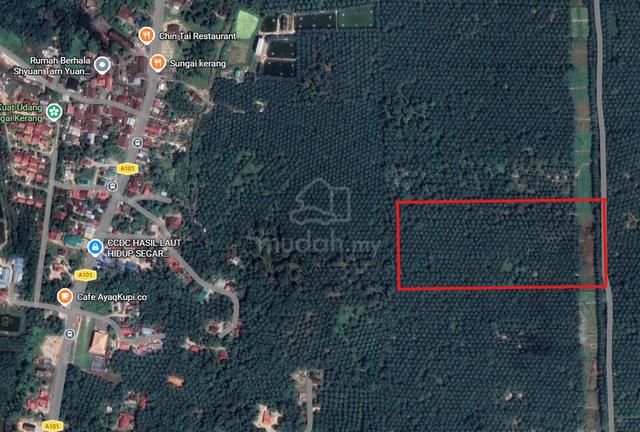 Freehold Oil Palm Land in Sungai Kerang🌴 | 3 Adjacent Plots Main Road 1
