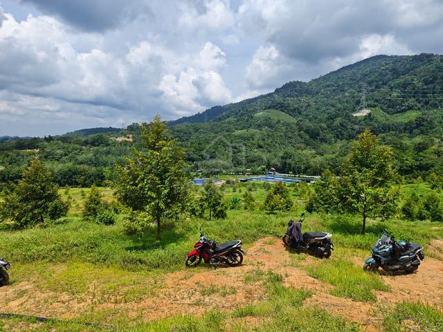 Tanah Kebun 900 Blackthorn dan Musang King, Tampin, Negeri Sembilan 1