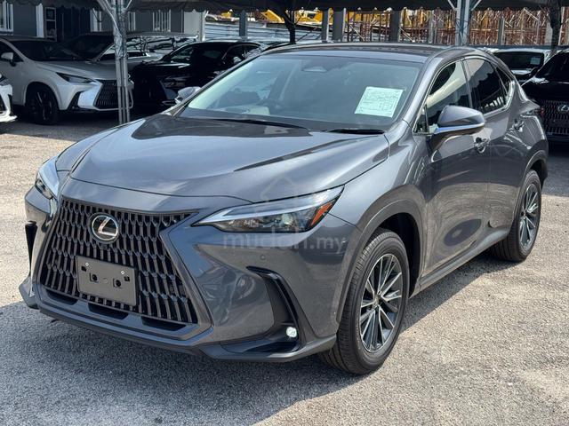 2024 Lexus NX250 2.5 STANDARD(A)Grey,Grade5A,13Kkm - 4
