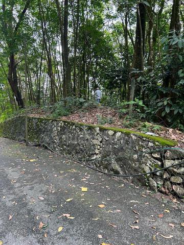Agriculture Land - Malay Reserved in Sungai Penchala For Sale 1