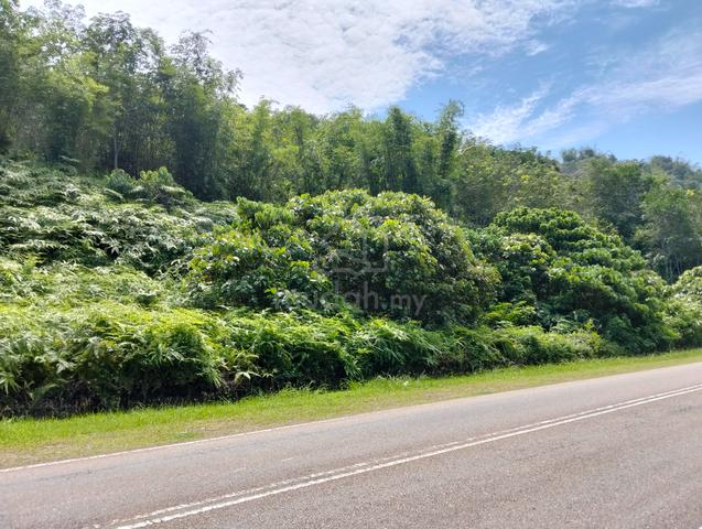 Tanah tepi jalan di Pengkalan Hulu Perak 1