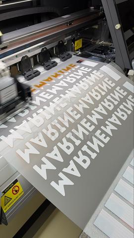 Carousel Image Selected