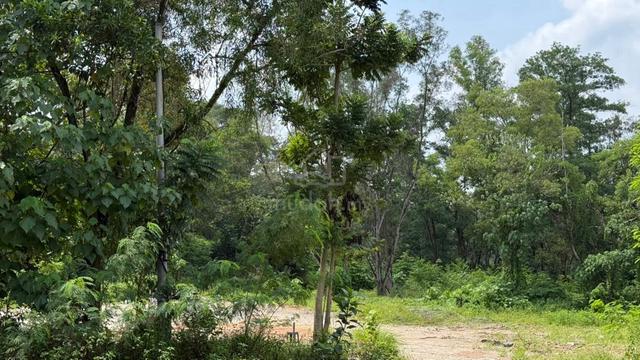Main Road Leasehold Commercial Flat Land Excellent Access All Bussines 1
