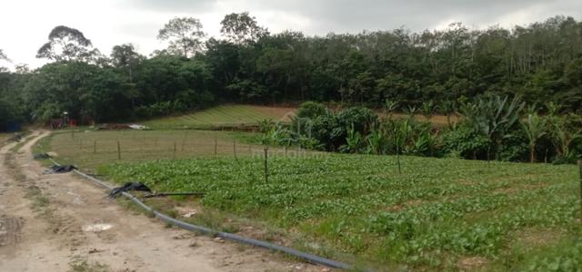 Semenyik potential Industrial Land[3.7ac] near Factory areas. 1