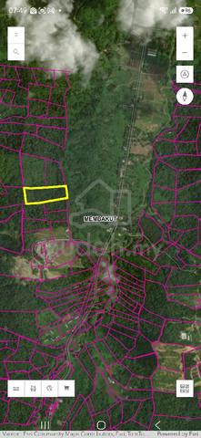 Nt 02312938 1