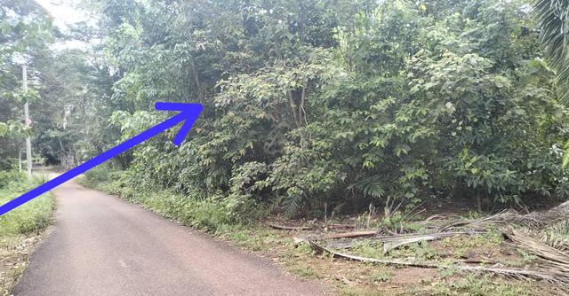 2 Ekar Suku Tanah Kosong Kg Balai Badang Buloh Kasap Segamat Johor 1