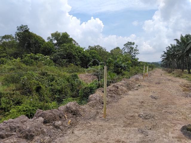 tanah 4 ekar kota tinggi sedili 1