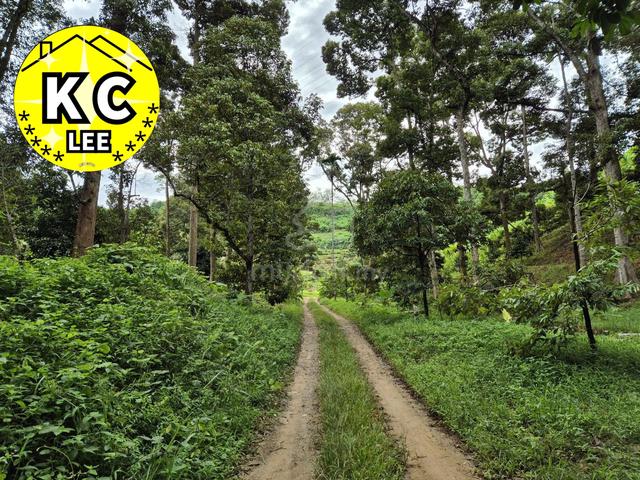 4.7 Acres Old Durian Farm For Sale | Lenggong,Perak 3