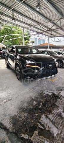 2021 Lexus NX300 2.0 F SPORT (A) #5A - 3