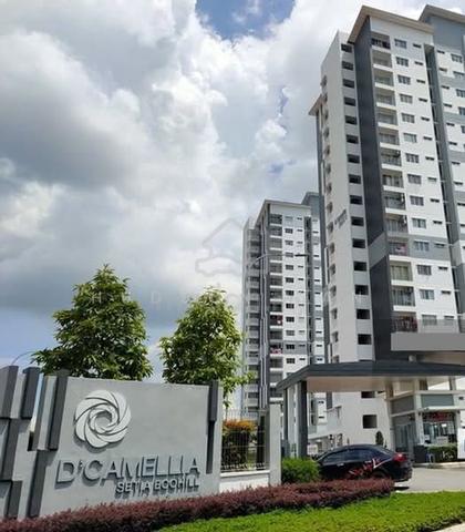 D' Camellia 1