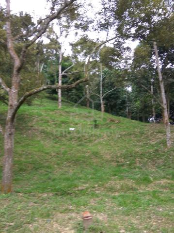 Broga -14.5 acre 4