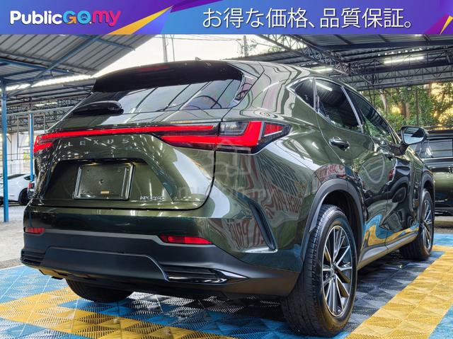 Lexus NX 250 2.5 GREEN FOREST RedSEAT LIMITED 3085 - 2