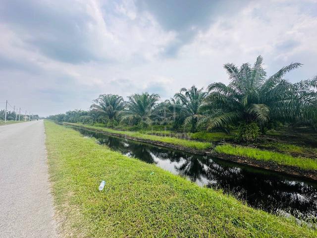 Tanah Kelapa Sawit Exit Higway SKVE, Kuala Langat, Selangor 1