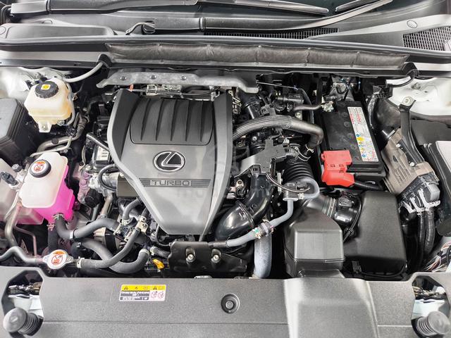 2023 Lexus RX350 2.4 F-Sport Panroof HUD - 5
