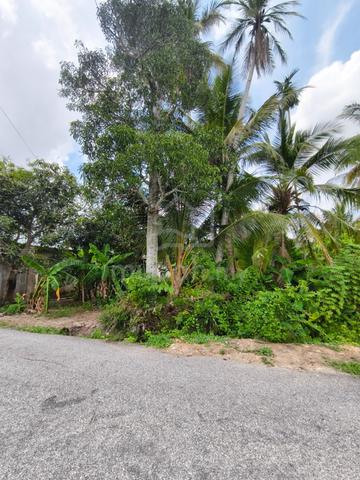 TANAH KAMPUNG SATU GERAN UNTUK DIJUAL Di KEPALA BATAS JITRA 1