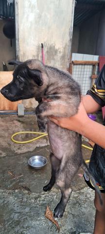 Carousel Image
