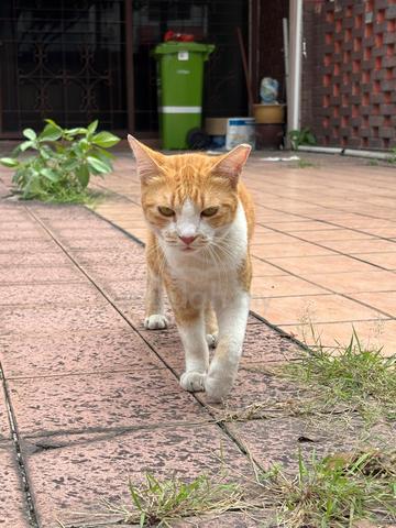 Carousel Image