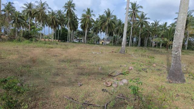 Tanah Untuk Di Jual 1