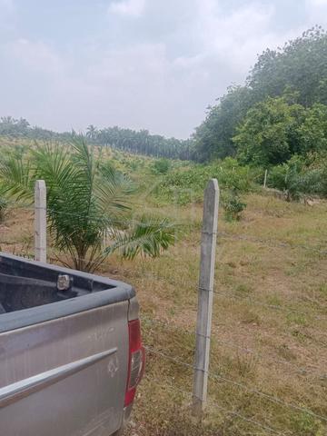 Johor Segamat Agricultural Freehold Land For Sale 1