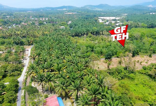 1.28 acre Agricultural Land | Bukit Teh | Bukit Mertajam | Penang 1
