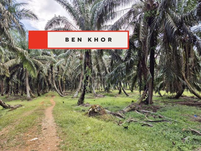 10.293 Acres | 2 Reserved Road | Agricultural Land |Selama | PERAK 5