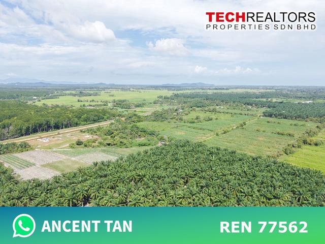 ZONING RESIDENTIAL / AGRICULTURE LAND Bujang Semeling FOR SALE 1