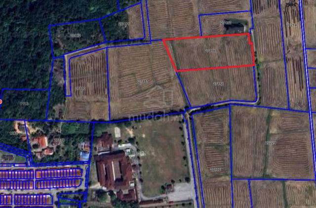 Freehold Non Bumi 2.5 ac, Telok Wang, Kuala Muda [ZONING RESIDENTIAL] 1