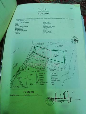Terengganu Besut Agricultural Freehold Land For Sale 1