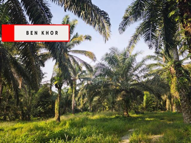 11.375 Acres | First Grade | Reserve Road | Nibong Tebal | PENANG 1