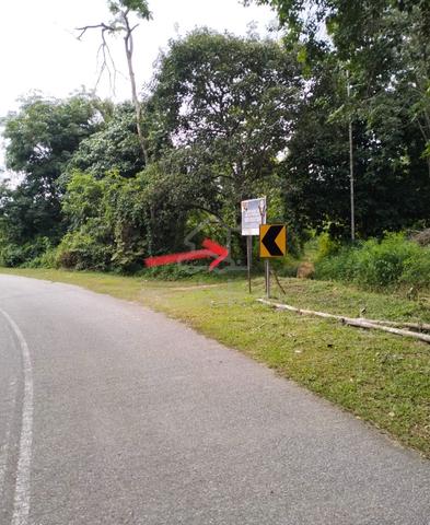 Dusun buah Napoh Jitra Kedah 5 min ke SK Hosba 1