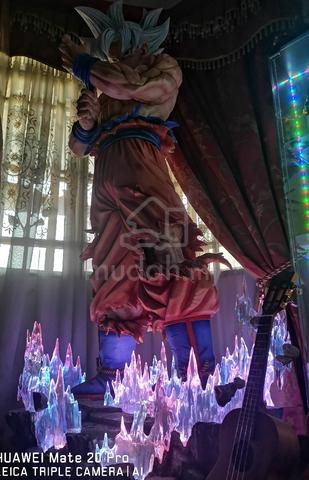 Carousel Image