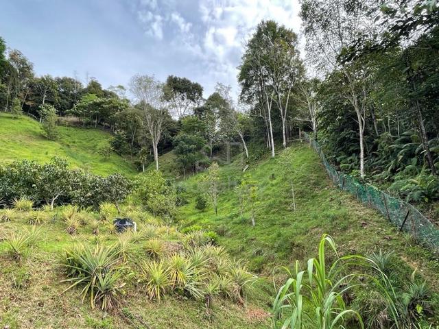 For SALE I NT Land I Kg Kolopis I Penampang I Sabah 1