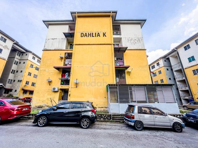 Dahlia (Seremban) 1