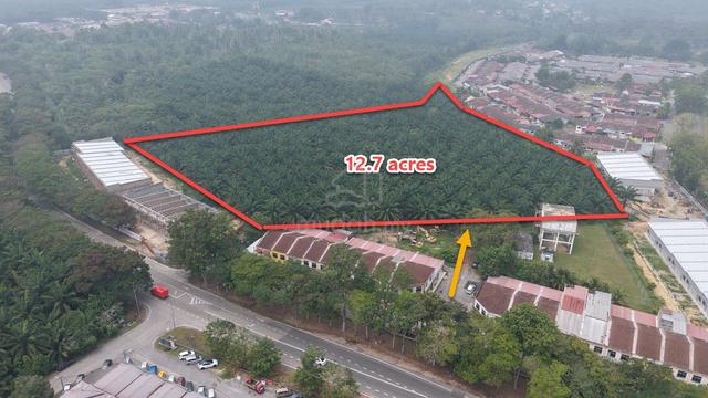 Melaka Jasin Bemban Agri Land 12.7Acres Freehold w/ 300+ Oil Palm 1