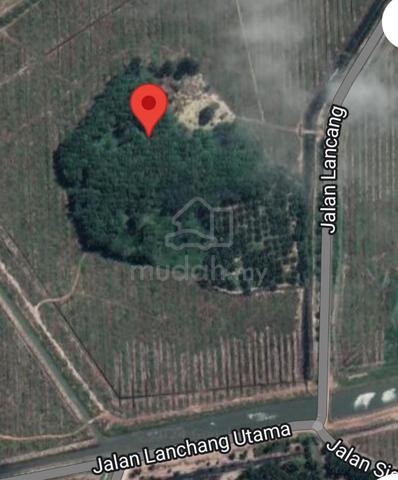 [FREEHOLD] Jasin Merlimau Melaka Agriculture Land With Durian Farm 2