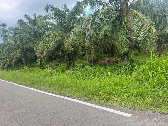 Kudat C.L Land For Sale 4