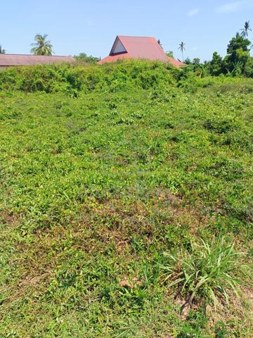 kampung tedong merlimau melaka 1