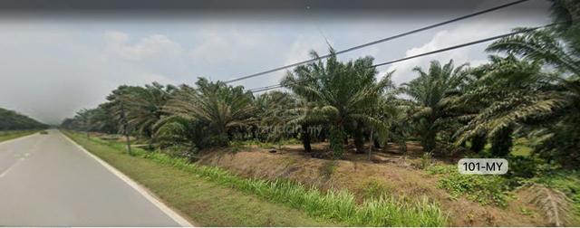 Value Buy‼️3 Acre Jeram Kapar Klang Agriculture Land Sale【1st Piece】 3