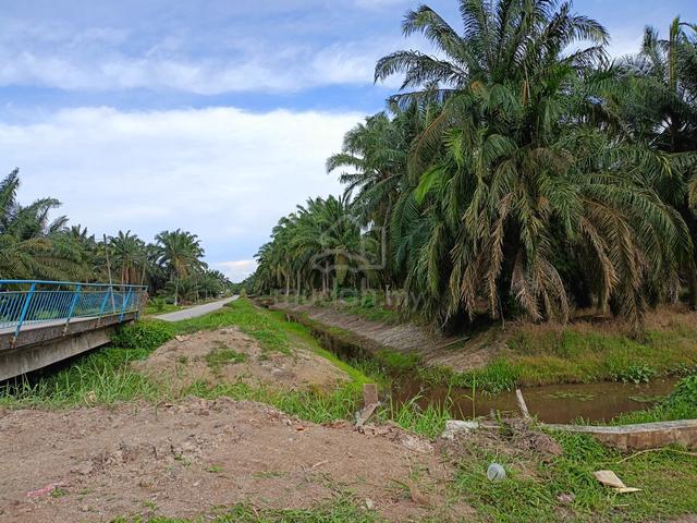 450 meter from main road (Batu Pahat-Ayer Hitam) 1