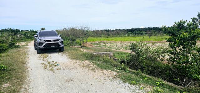 Tanah pertanian 1.4 ekar di Guntong Setiu Terengganu 3